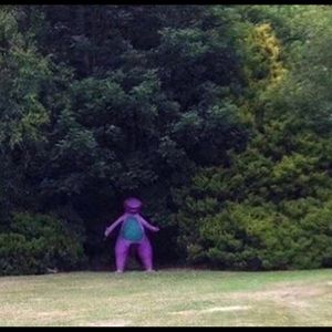 Meet your Posher, Austin